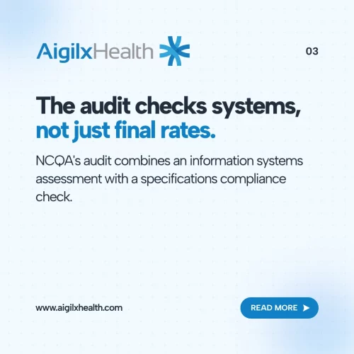 hedis-audit-systems-check
